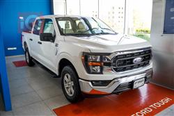 فۆرد F-150